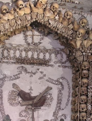 Commemoration of All Souls of the Seraphic Order