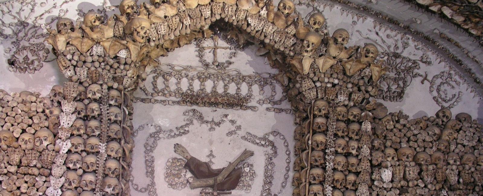 Commemoration of All Souls of the Seraphic Order